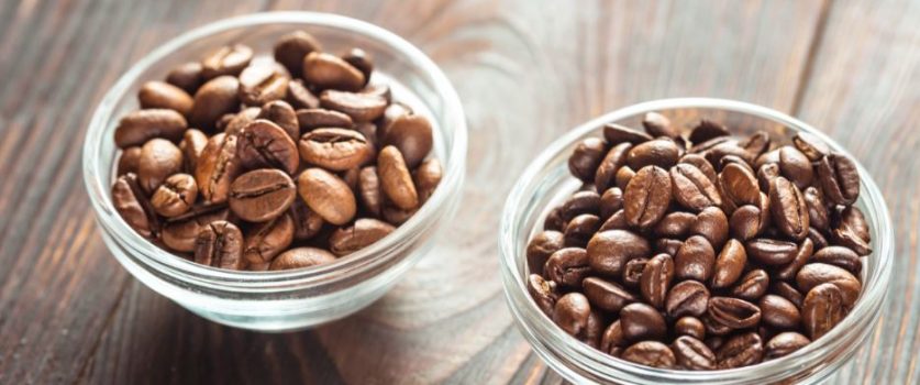 Cafés Especiais - Qual a diferença entre o Café Arábica e ou Robusta?